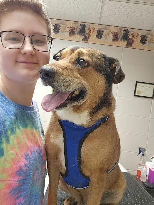 Berry Animal Hospital 3