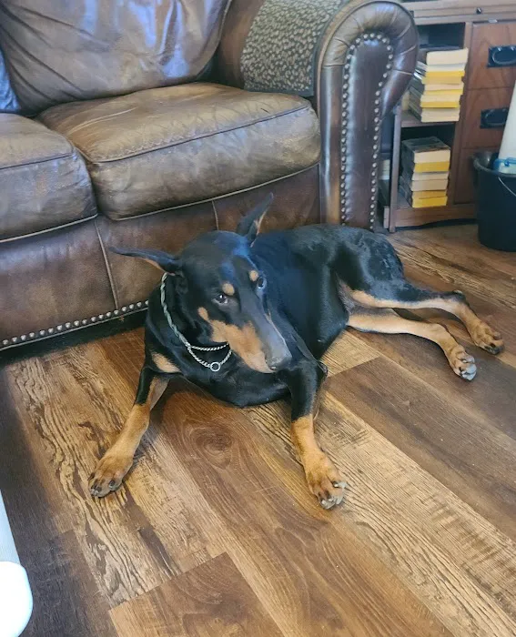 Ardmore Companion Animal Hospital 1