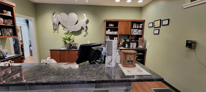 Ardmore Companion Animal Hospital 4