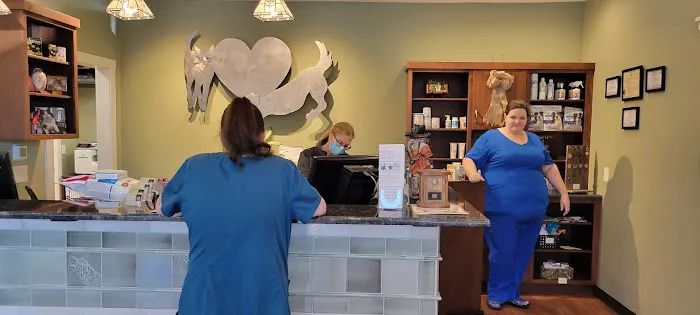 Ardmore Companion Animal Hospital 3