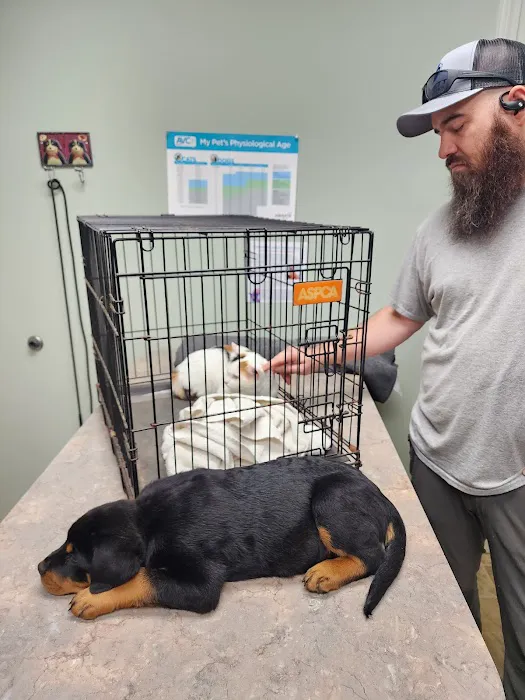 DeKalb Animal Clinic 12