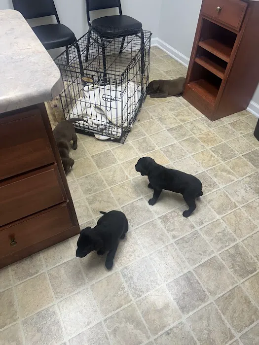 DeKalb Animal Clinic 12