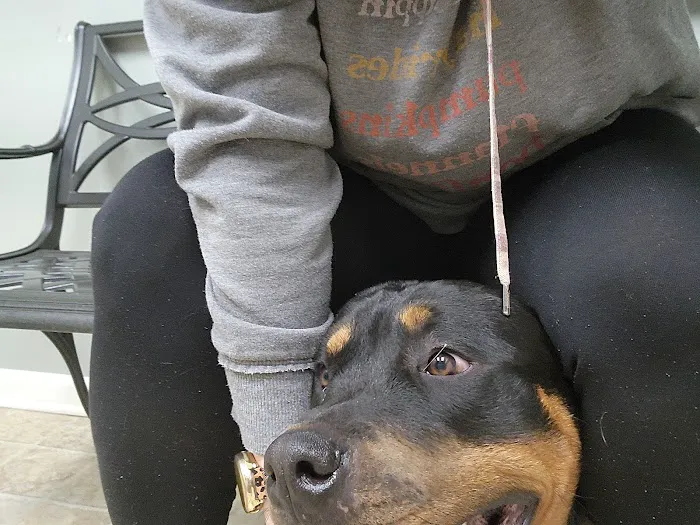DeKalb Animal Clinic 12