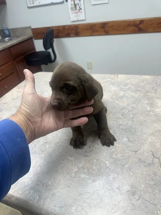 DeKalb Animal Clinic 12