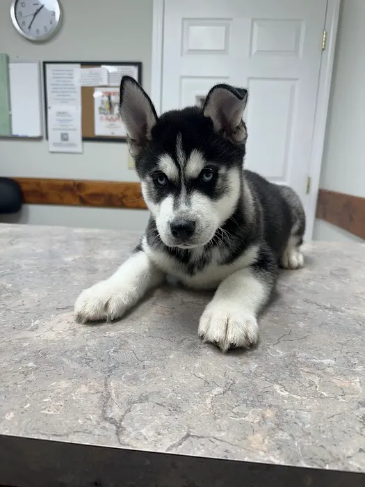 DeKalb Animal Clinic 12