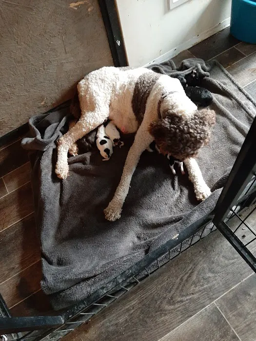 DeKalb Animal Clinic 12