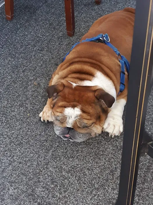 DeKalb Animal Clinic 12