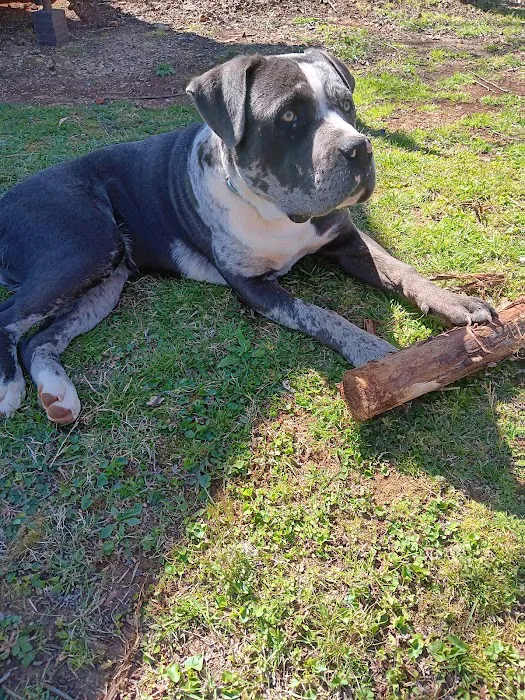 Bluegrass Veterinary Clinic, LLC 12