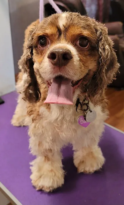 Sparta Veterinary Services LLC 12