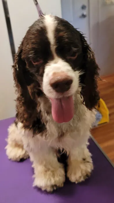 Sparta Veterinary Services LLC 12