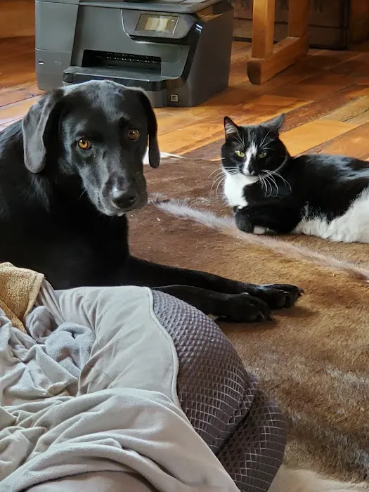 Sparta Veterinary Services LLC 12