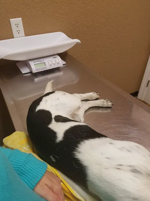 Sparta Veterinary Services LLC 12