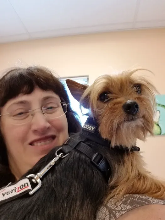 Animal Medical Clinic P.C. 2
