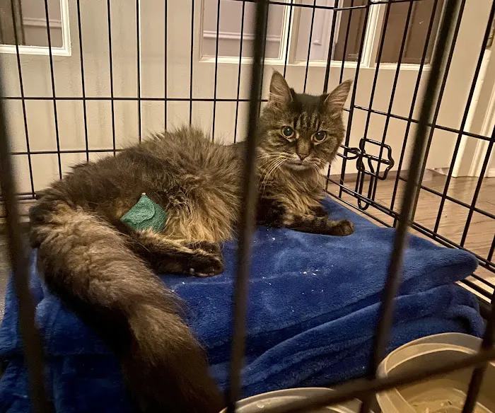 Towne Park Animal Care Center 4