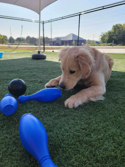 Towne Park Animal Care Center 2