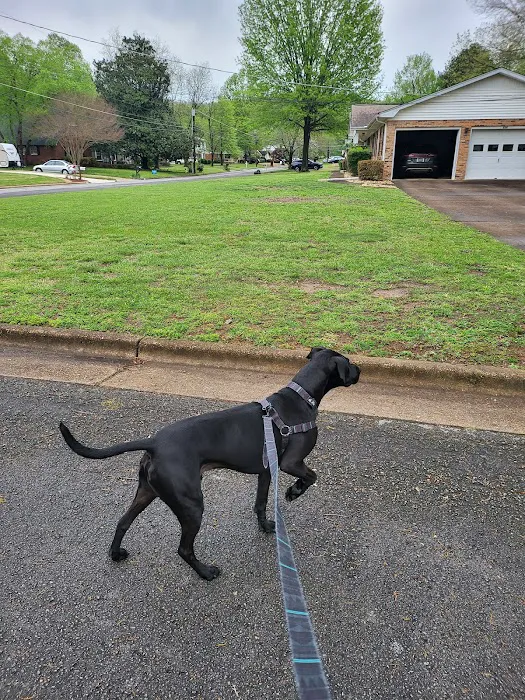 Towne Park Animal Care Center 3