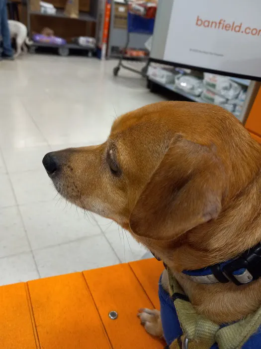 Banfield Pet Hospital 7