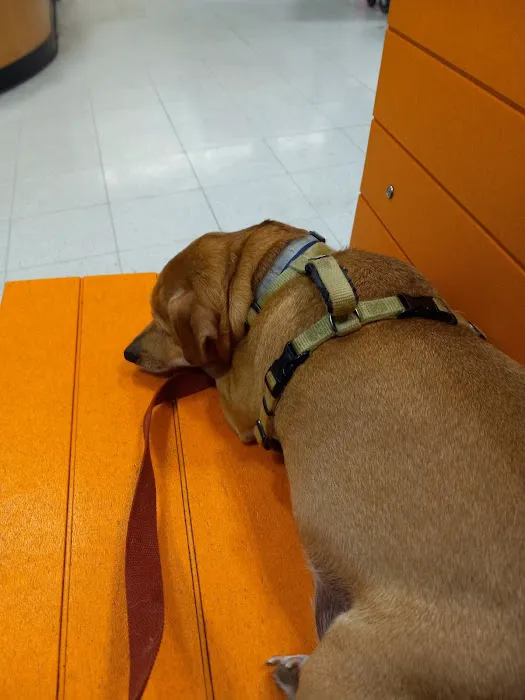 Banfield Pet Hospital 4