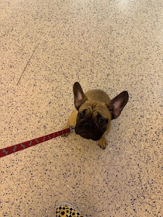 Banfield Pet Hospital 1