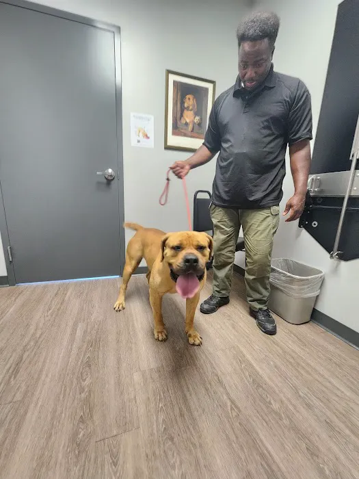 Rocket City Veterinary Hospital Pine Grove 6