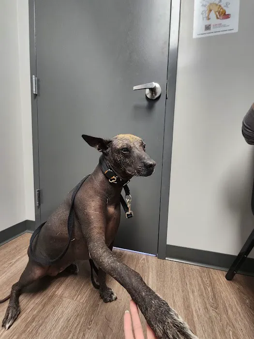 Rocket City Veterinary Hospital Pine Grove 5