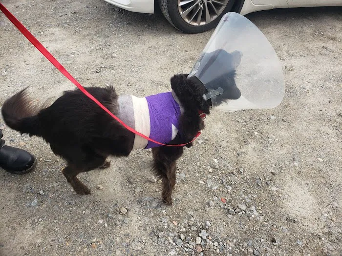 Cypress Creek Veterinary Hospital 6