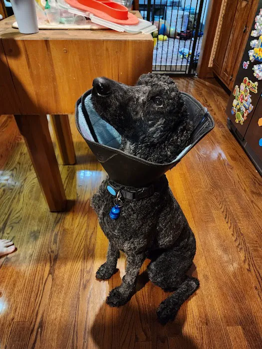 Cypress Creek Veterinary Hospital 4