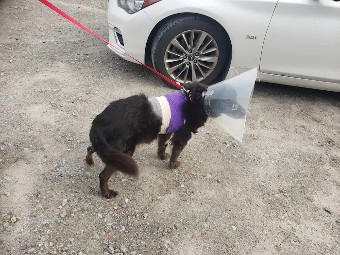 Cypress Creek Veterinary Hospital 5