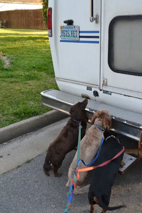 Creature Comfort Mobile Vet 12