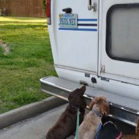 Creature Comfort Mobile Vet ico