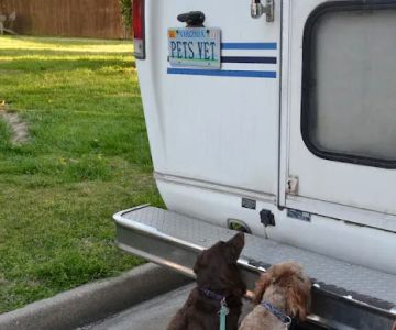 Creature Comfort Mobile Vet