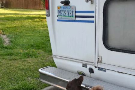 Creature Comfort Mobile Vet