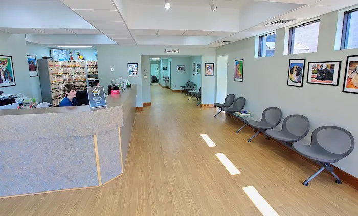 Hilton Animal Hospital 12