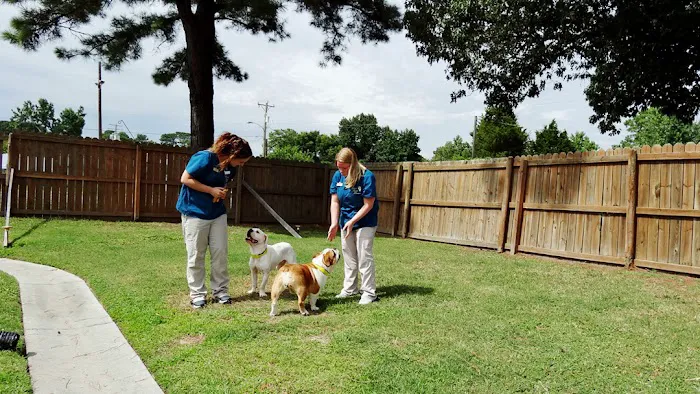 Hilton Animal Hospital 12