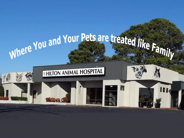 Hilton Animal Hospital 12