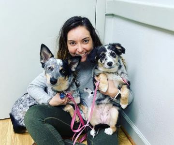 Hilton Animal Hospital