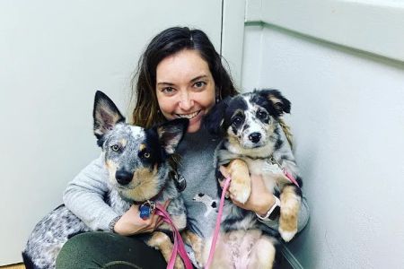 Hilton Animal Hospital
