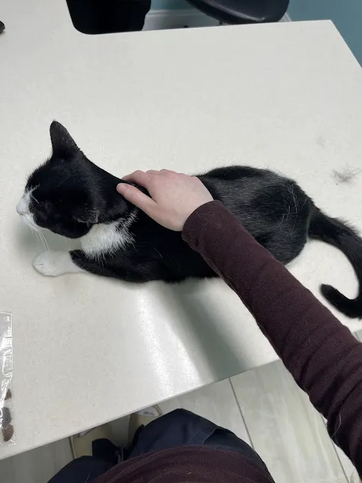 Newport News Animal Hospital 2