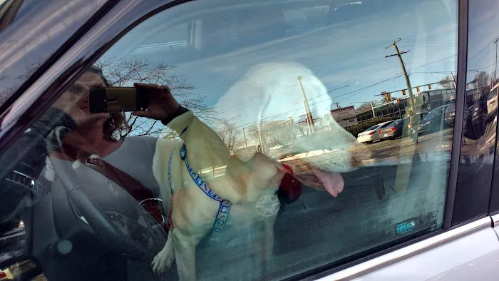Newport News Animal Hospital 8