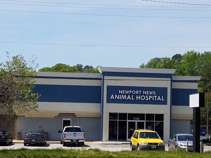 Newport News Animal Hospital 10