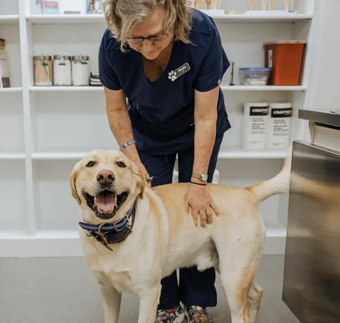 Academy Animal Care 10
