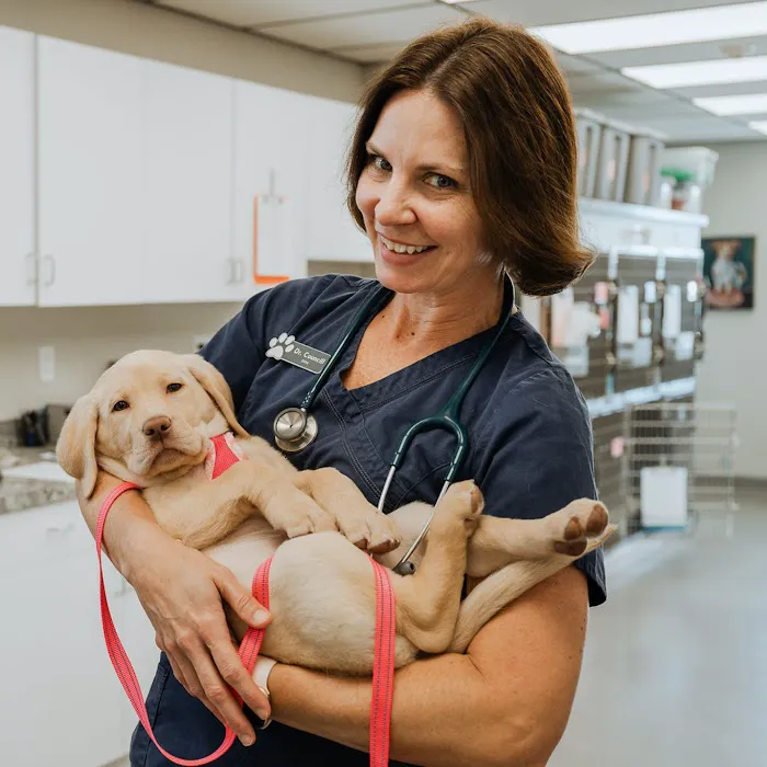 Academy Animal Care 7