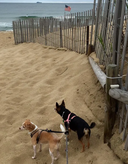 Windsor Pet Care 5