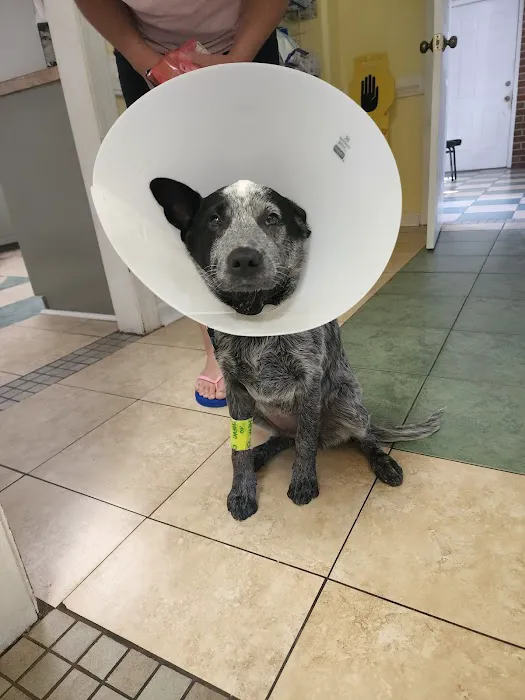 Windsor Pet Care 6