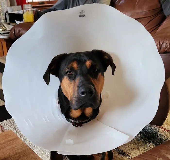 Windsor Pet Care 9