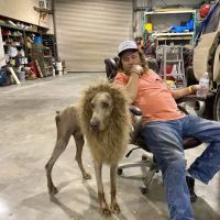 Windsor Pet Care ico