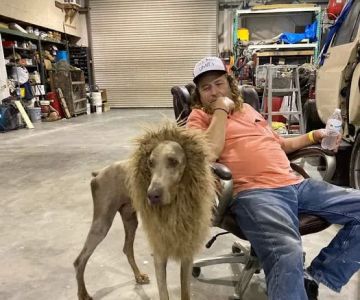 Windsor Pet Care
