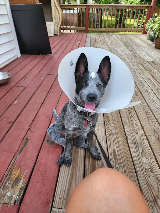 Windsor Pet Care 7