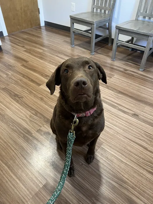Tidewater Animal Clinic 7