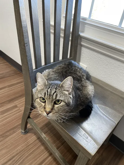 Tidewater Animal Clinic 10